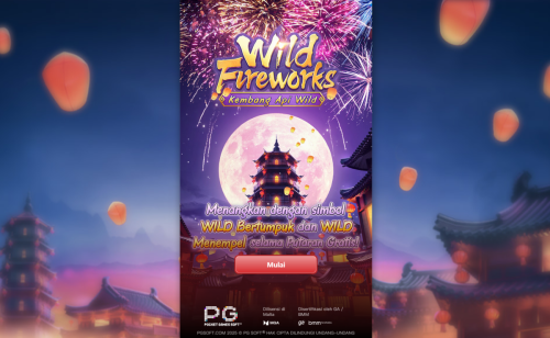 WILD-FIREWORK-1